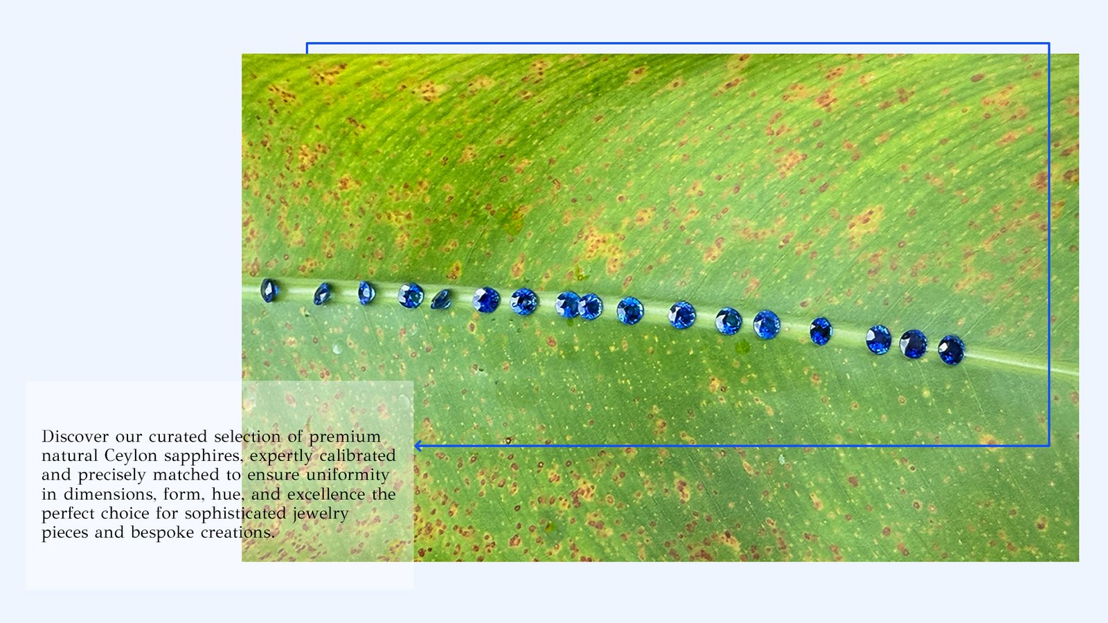 Blue Hues Ceylon sapphire collection banner
